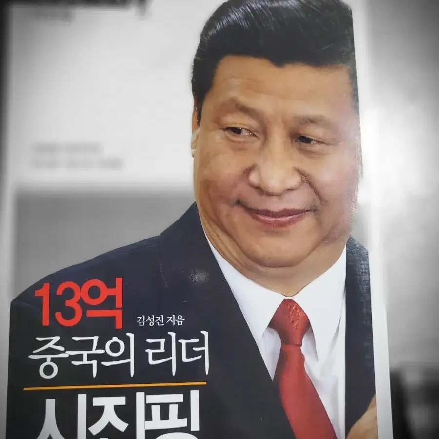 시진핑 책