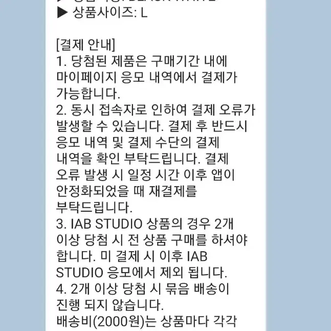 아이앱스튜디오 후드티 L 블랙