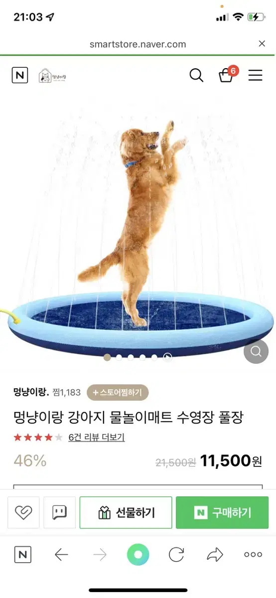 강아지 물놀이 수영장 새거 