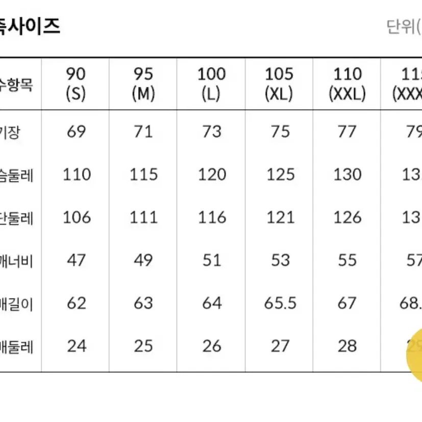 [L] 노스페이스 노벨티 마운틴 고어텍스 자켓 설산