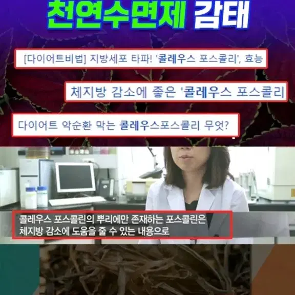 HWC잘자요 예쁜언니 자면서 살을 뺀다 수면도움주는 성분 다이어트