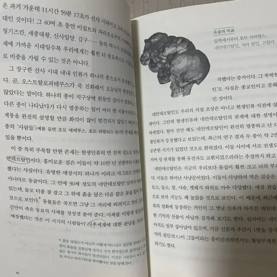 문화로 읽는 세계사