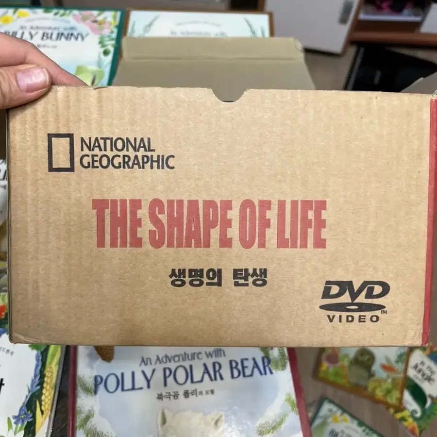 NATIONAL GEOGRAPHIC ((생명의 탄생)) DVD 세트