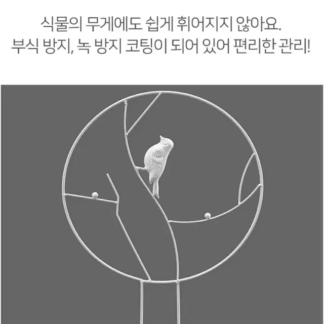 식물 지지대 (전국무료배송)