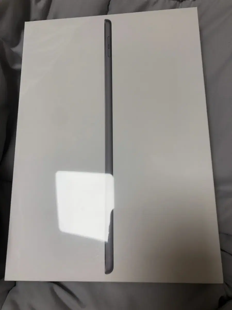 Unsealed iPad 9th Generation & Original Case (59000 won)