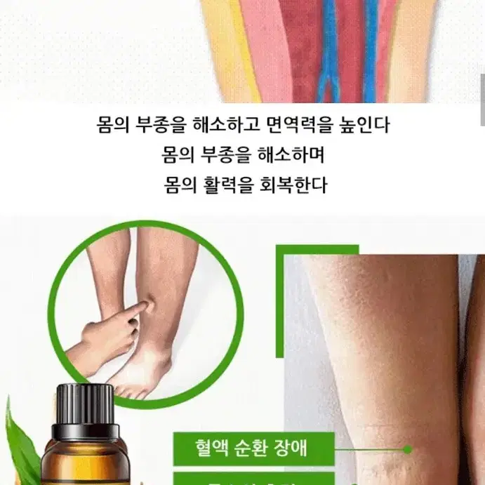 2일배송  브랜드 림프디톡스 에센스 오일 노페물제거