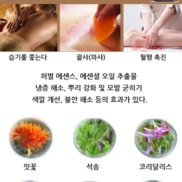 2일배송  브랜드 림프디톡스 에센스 오일 노페물제거