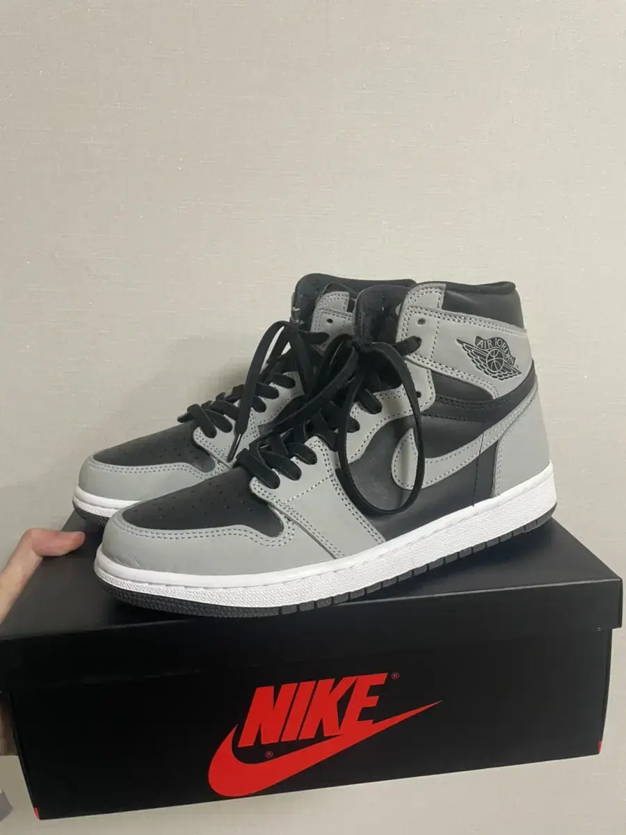 [270] Air Jordan 1 High Shadow 2.0 