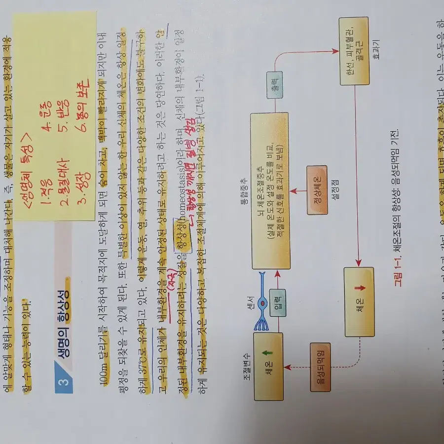 구강생리학 치과위생사 전공책