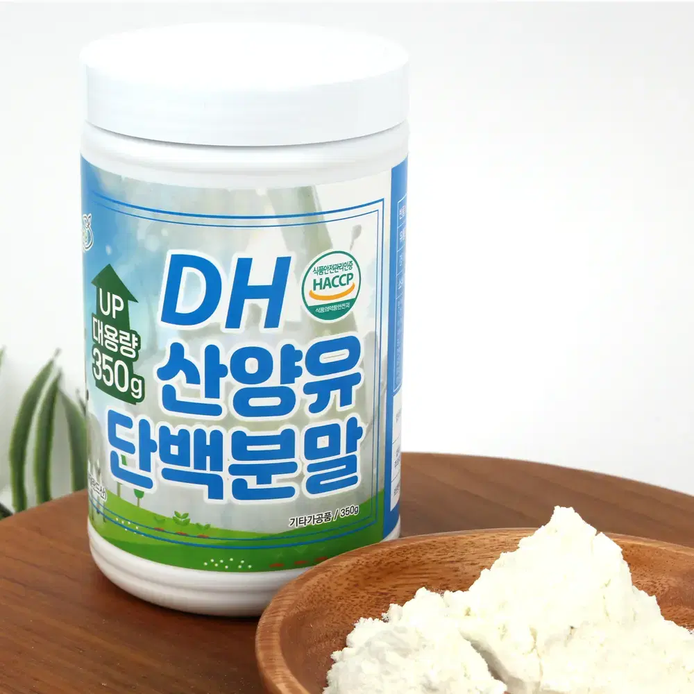 햇썹인증 DH산양유단백분말 350g