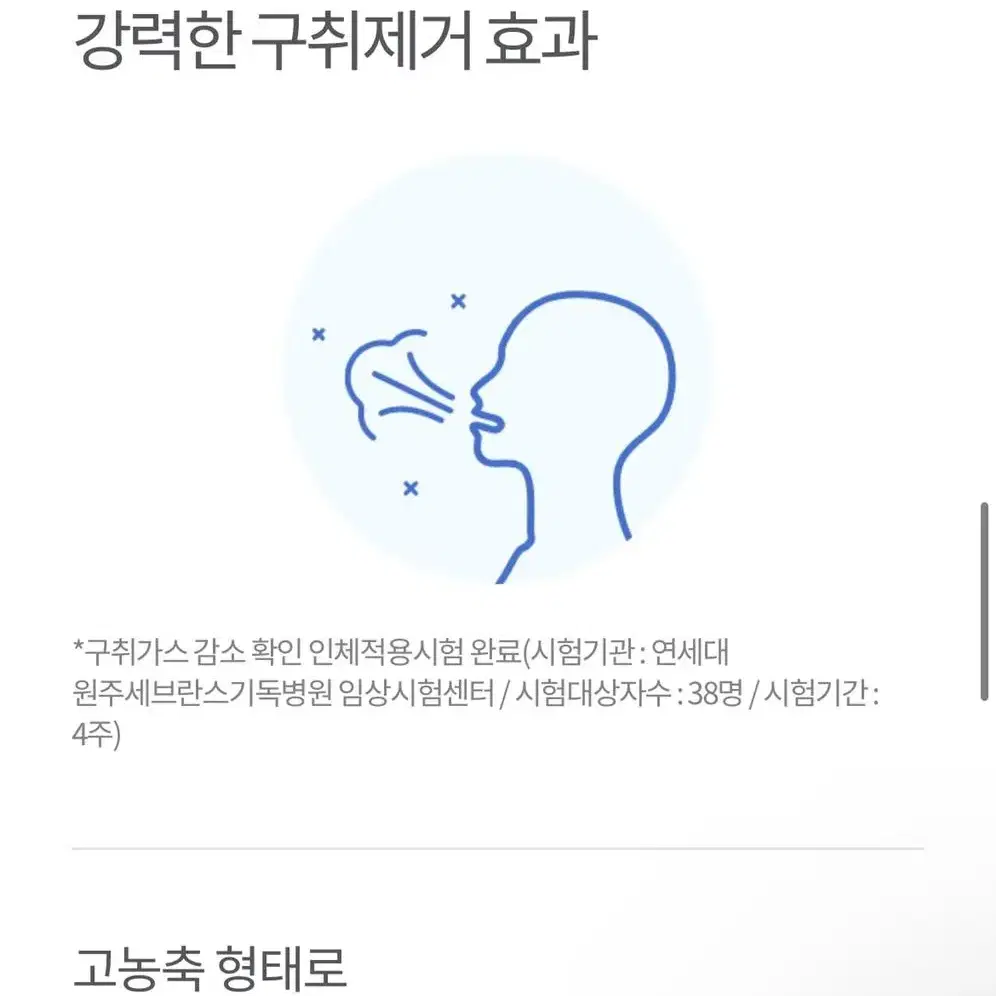 글리스터 컨센트레이티드 마우스 워시액