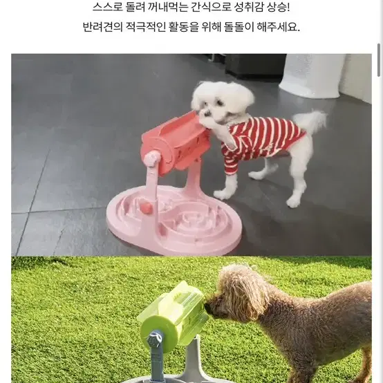 강아지 돌돌이 장난감