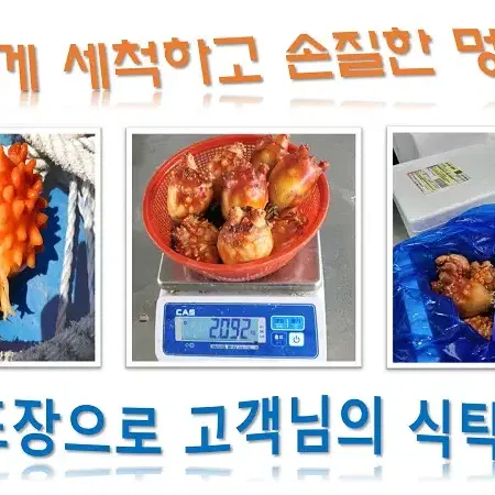 통영 멍게 1KG 해산물 제철음식 남해