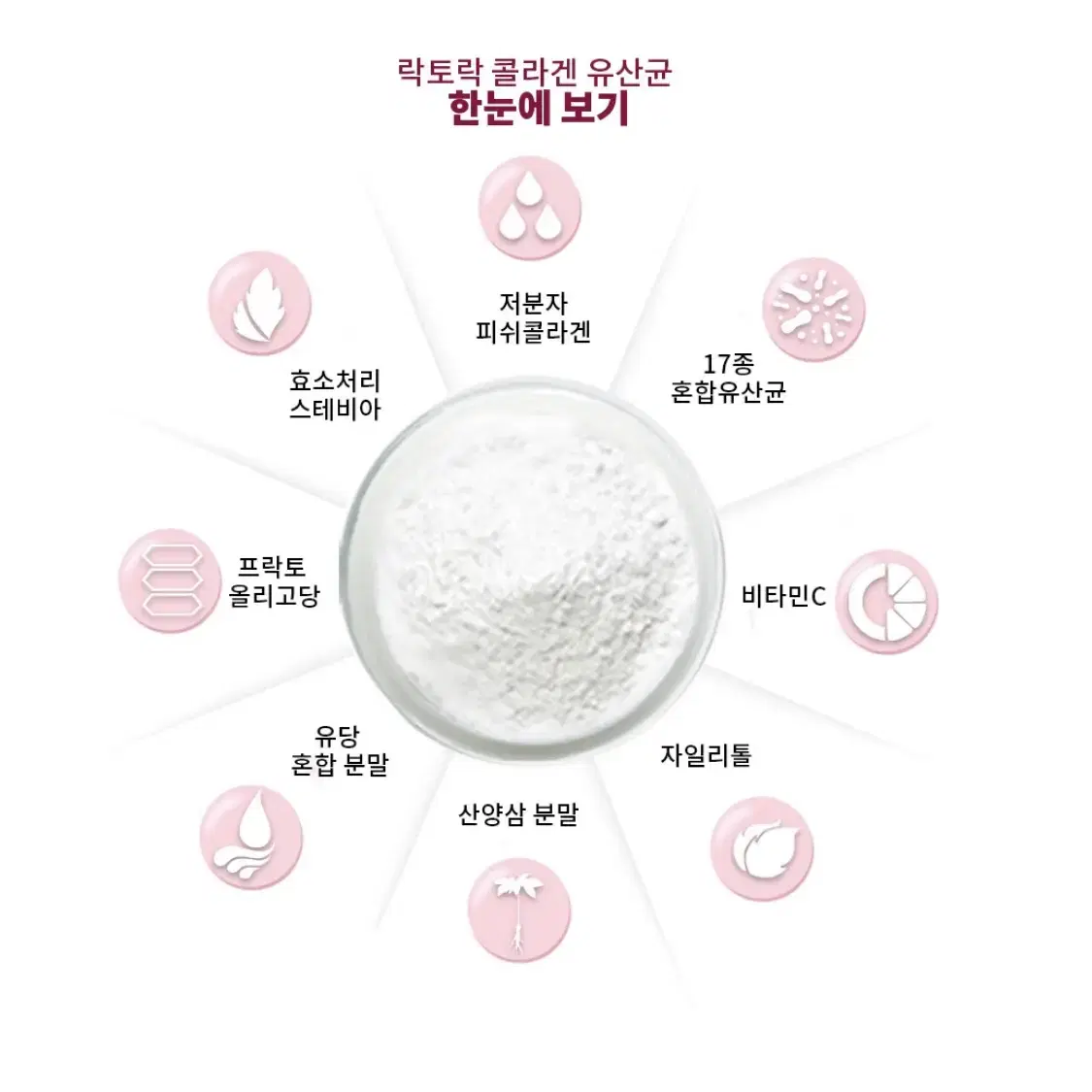 락토락 콜라겐 유산균 산양삼 2g 30포