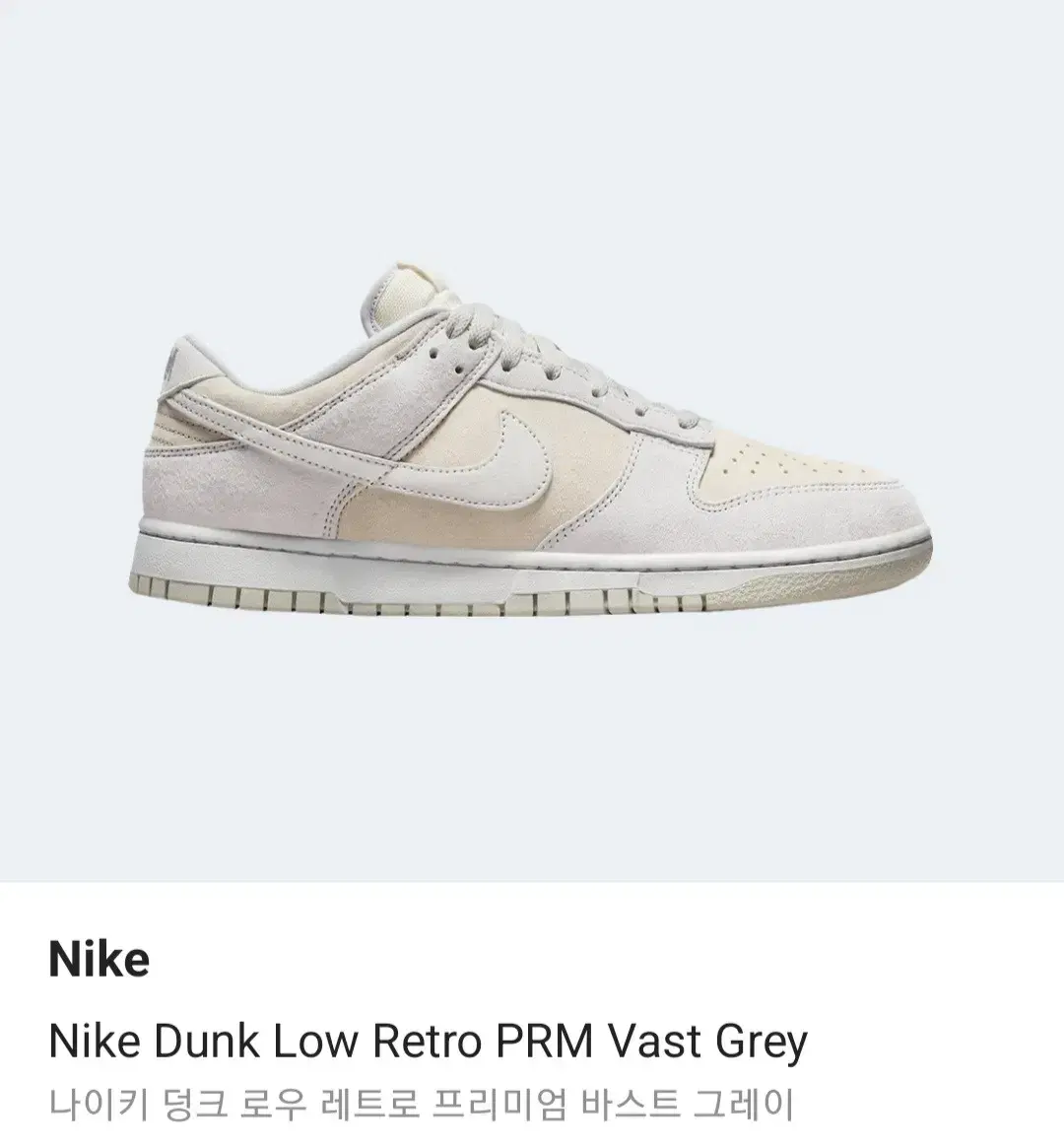 Nike Dunk Low Retro Premium Bust Grey