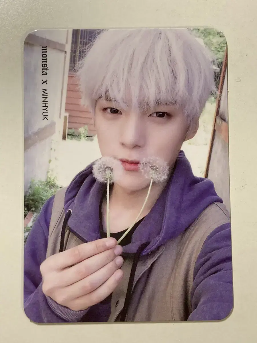 monsta x monstax minhyuk photocard wts dandeliondang