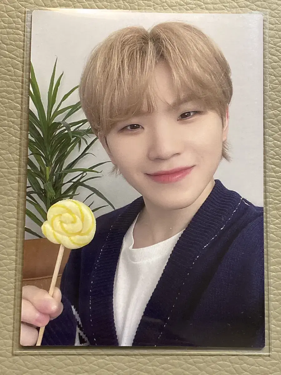 Seventeen Home tc woozi 047 jihoon Trading Cards