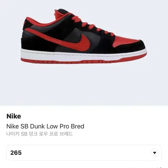 sb dunk pro 브레드 265