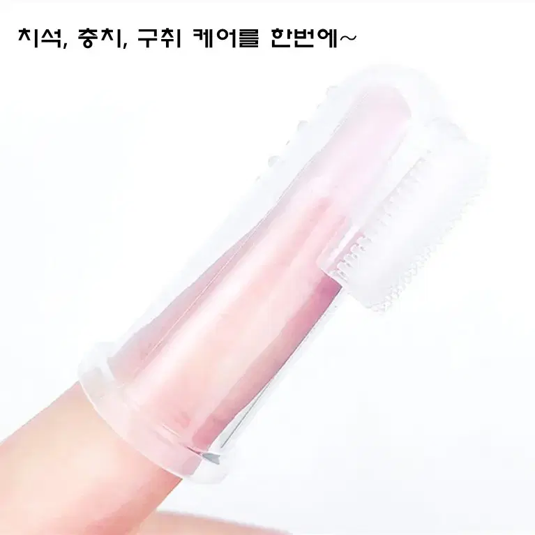 반려동물 손가락 칫솔 강아지 실리콘 칫솔 2p