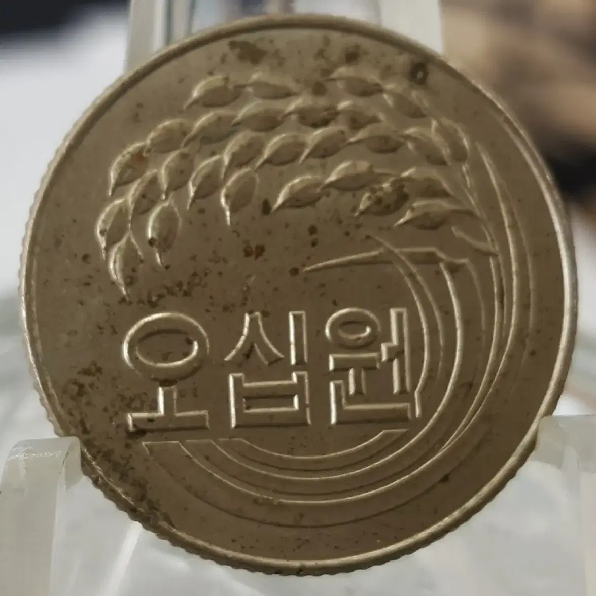 한국은행 미사용 50주 주화(동전) 6점