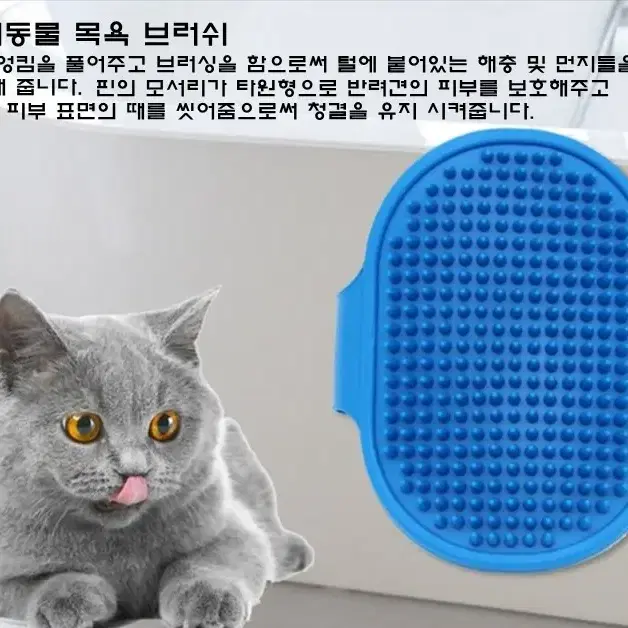 반려동물 목욕 브러쉬