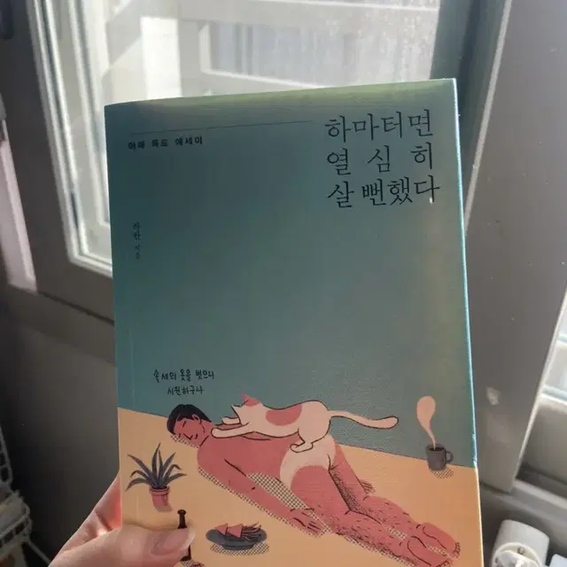 책 소설,에세이