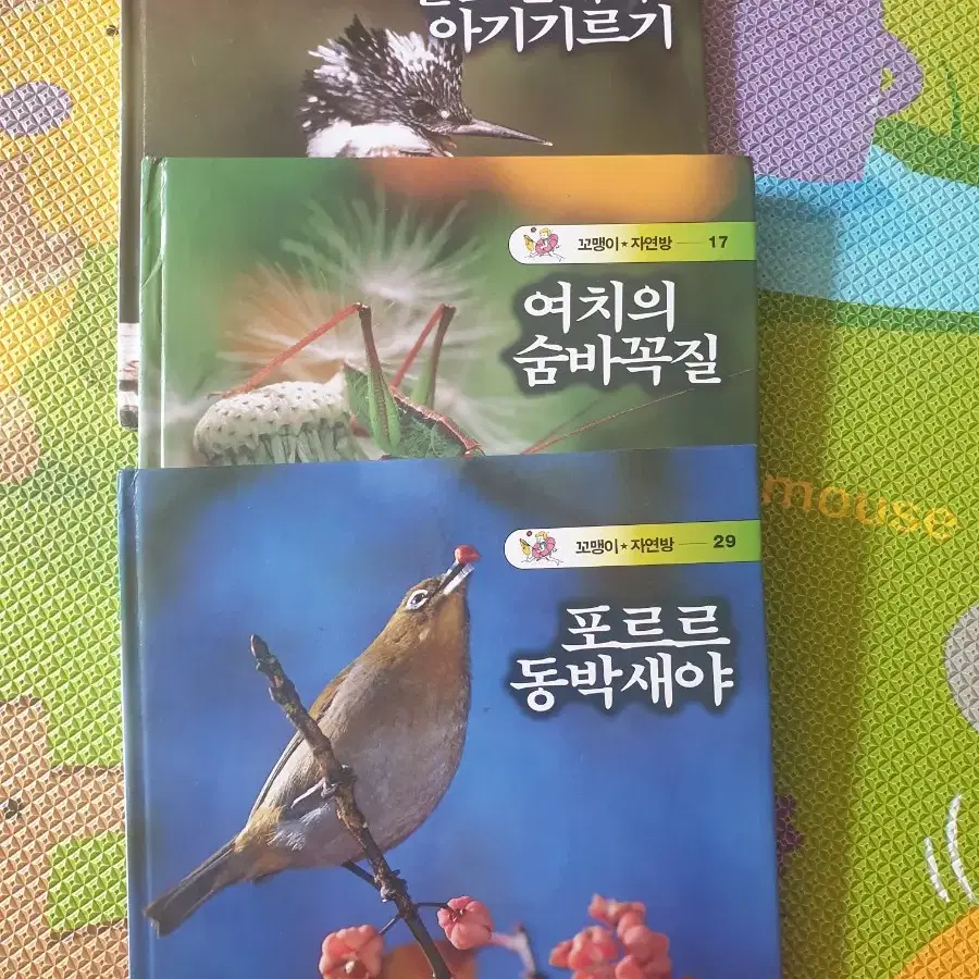 한국몬테소리 꼬맹이 자연방50권