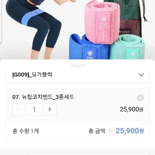 훌라후프 밸런스 비핏밴드