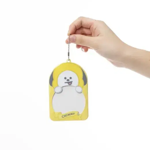 BT21일본 후르츠시리즈 카드홀더