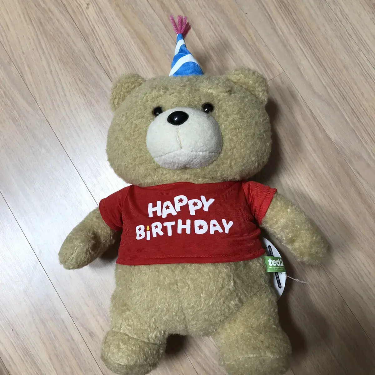 19금 테드 인형 생일축하인형