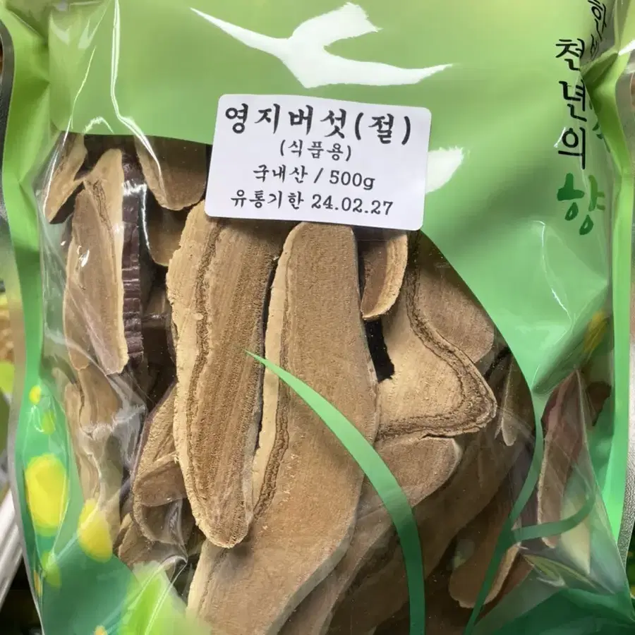 국산 영지버섯 절