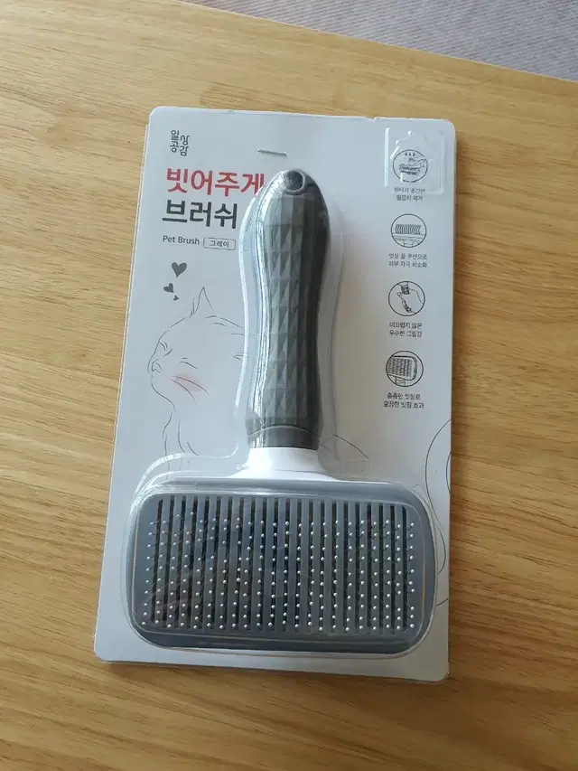 반려동물 빗