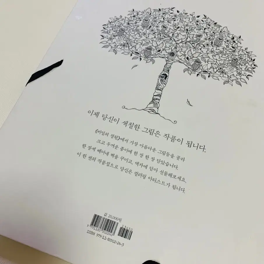 비밀의정원 / 컬러링북 /색칠