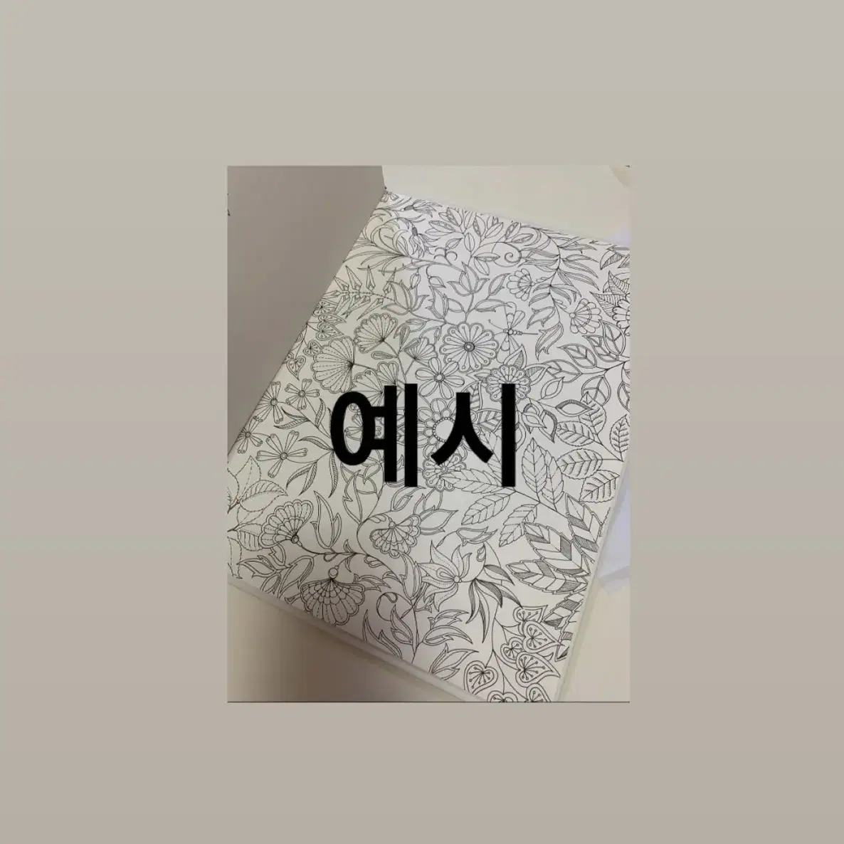 비밀의정원 / 컬러링북 /색칠