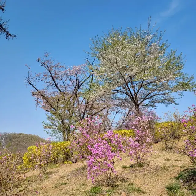 빨간 머리앤이 살던곳의 풍경같아요 