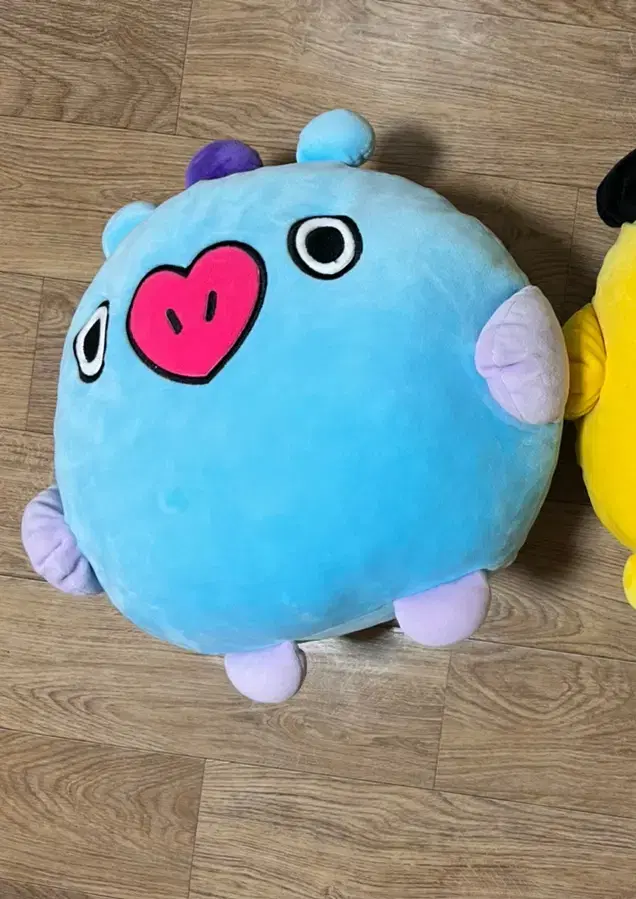 BT21 Mesh Flat Face Cushion