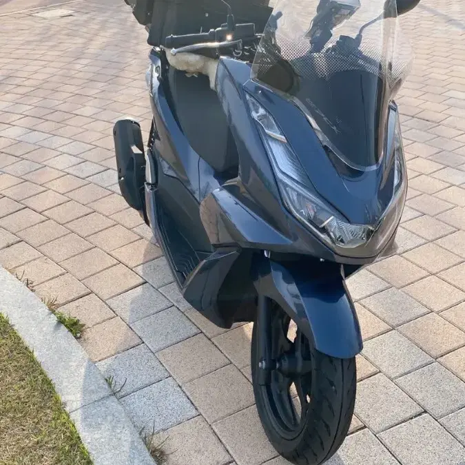 혼다 PCX125 2021년식 ABS팔아요