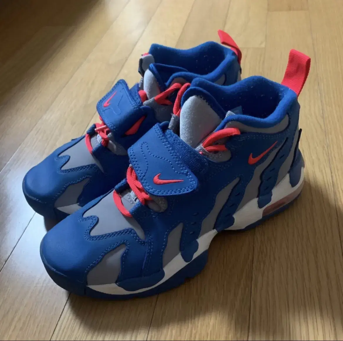 nike air dt max 96 (gs)