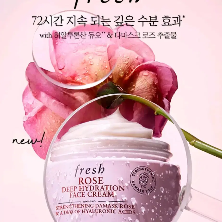 프레쉬 로즈 딥 하이드레이션 페이스 크림 50ml