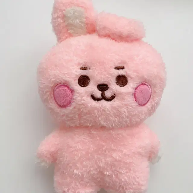 BT21 일본 쿠키 후와후와 탓똔 탓톤 플랫퍼 정국 인형