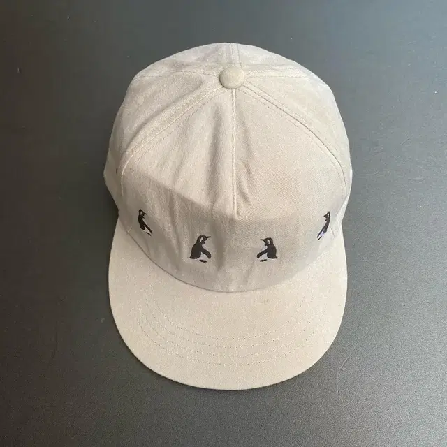 vintage cap