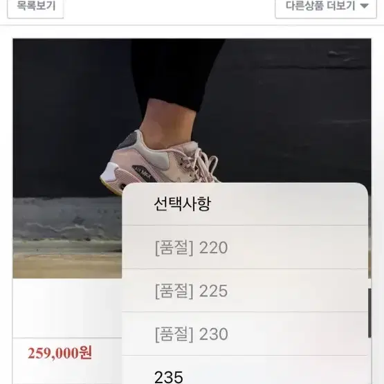 여배우의 옷장 털기 브랜드 나이키 에어맥스90 파티클 베이지 250