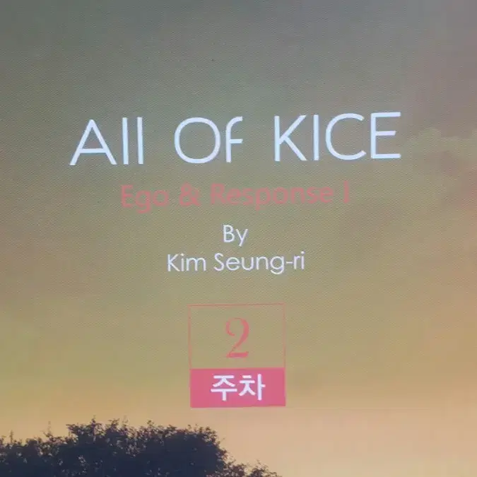 대성마이맥 국어 김승리 올 오브 카이스 2주차 All Of KICE