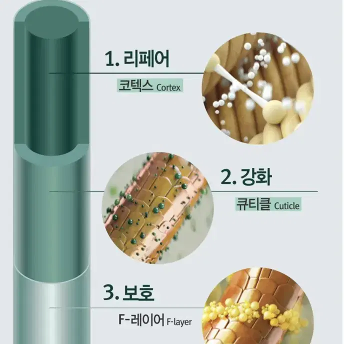 아베다 NEW 보태니컬리페어 샴푸 +컨디셔너  세트 (손상모발 회복,재생