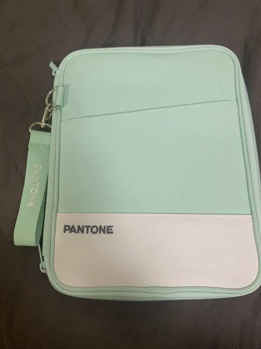 Quick sale of Fenton iPad pouches