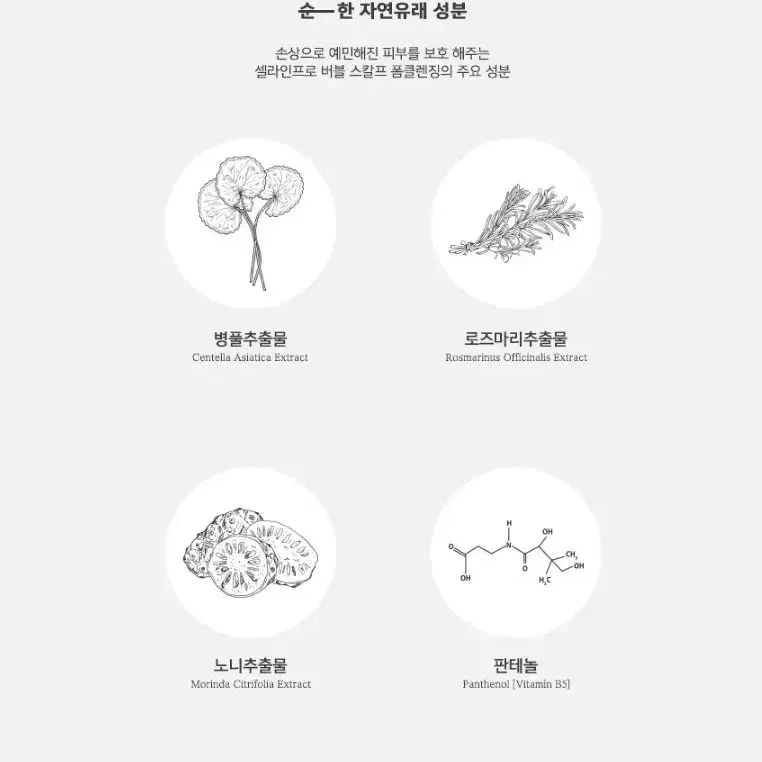 스칼프 폼 클렌징 200ml 셀라인프로 두피클린 거품케어 두피영양 보습관