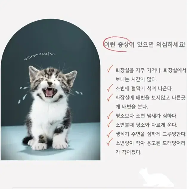 고양이화장실! 너무 이쁜데 청소도 편한 냥이화장실!(새제품111,900원