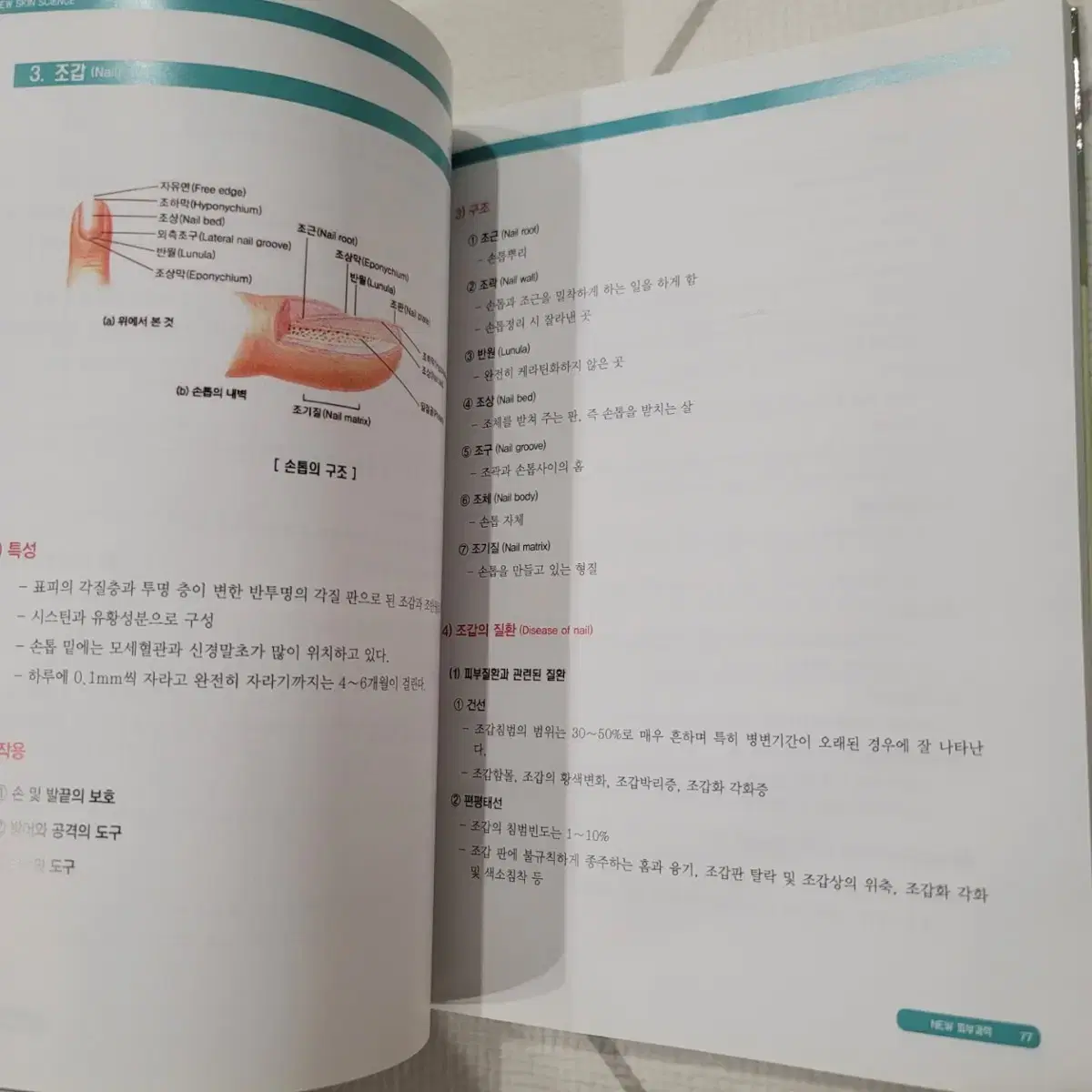 (새책) 가담플러스  new 피부과학 교재