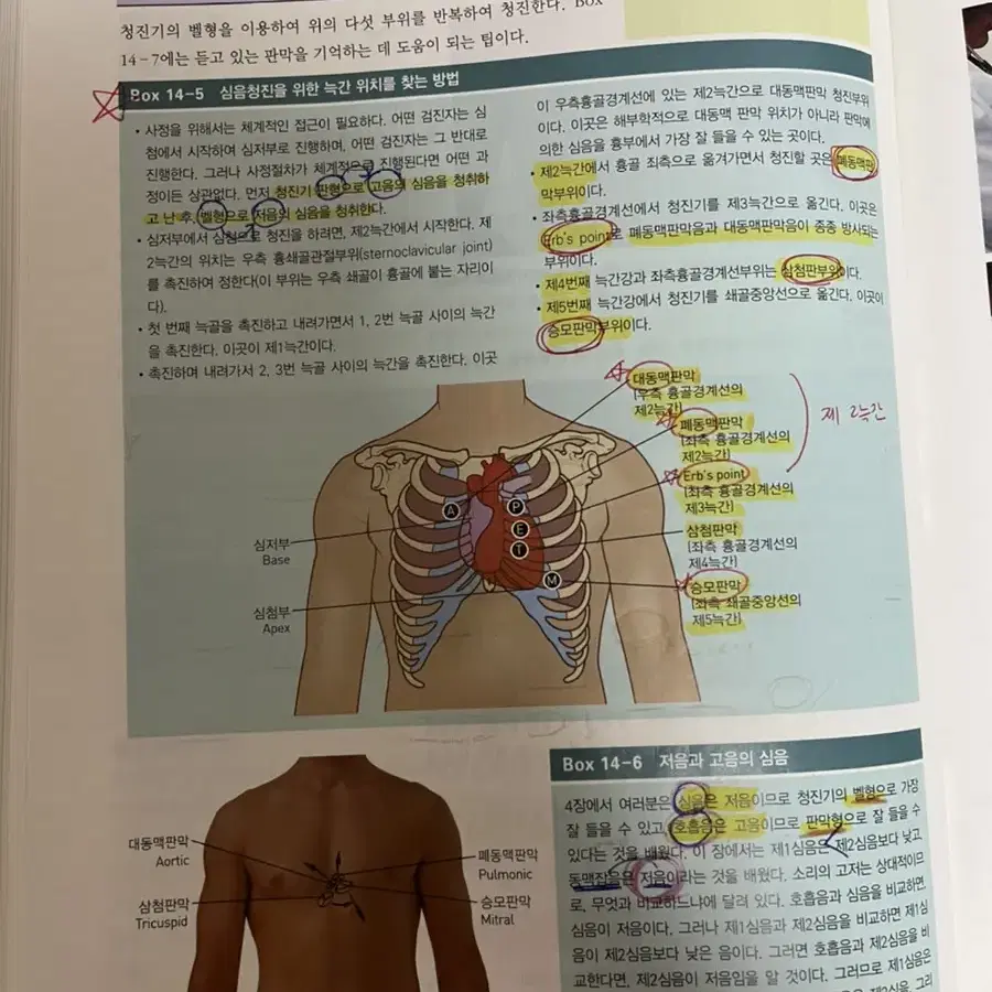 [현문사]건강사정