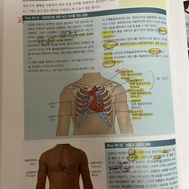 [현문사]건강사정